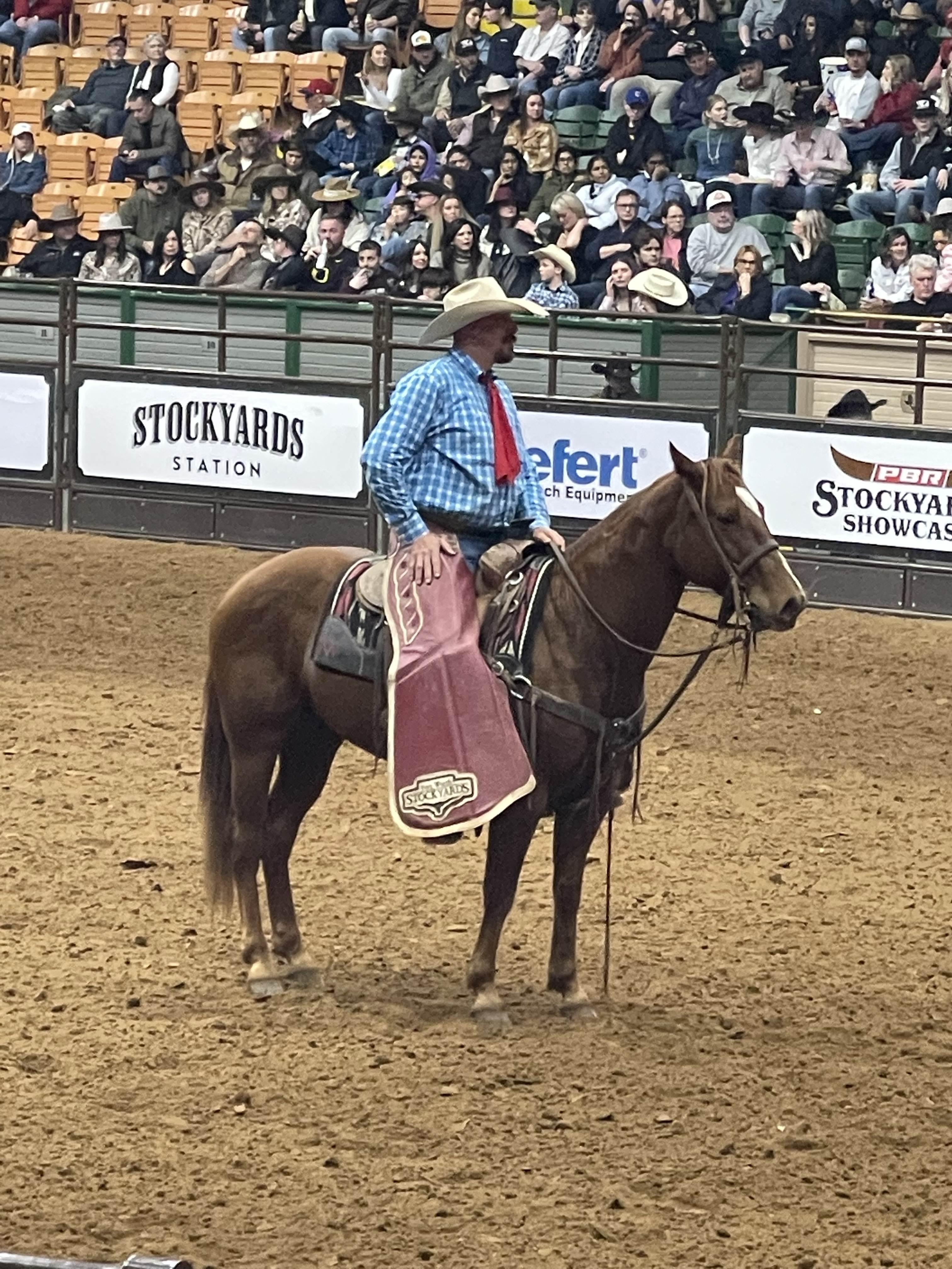 Dave Merrick Rodeo Remembrance of Things Past or This Isn’t My First Rodeo | Harvey ...